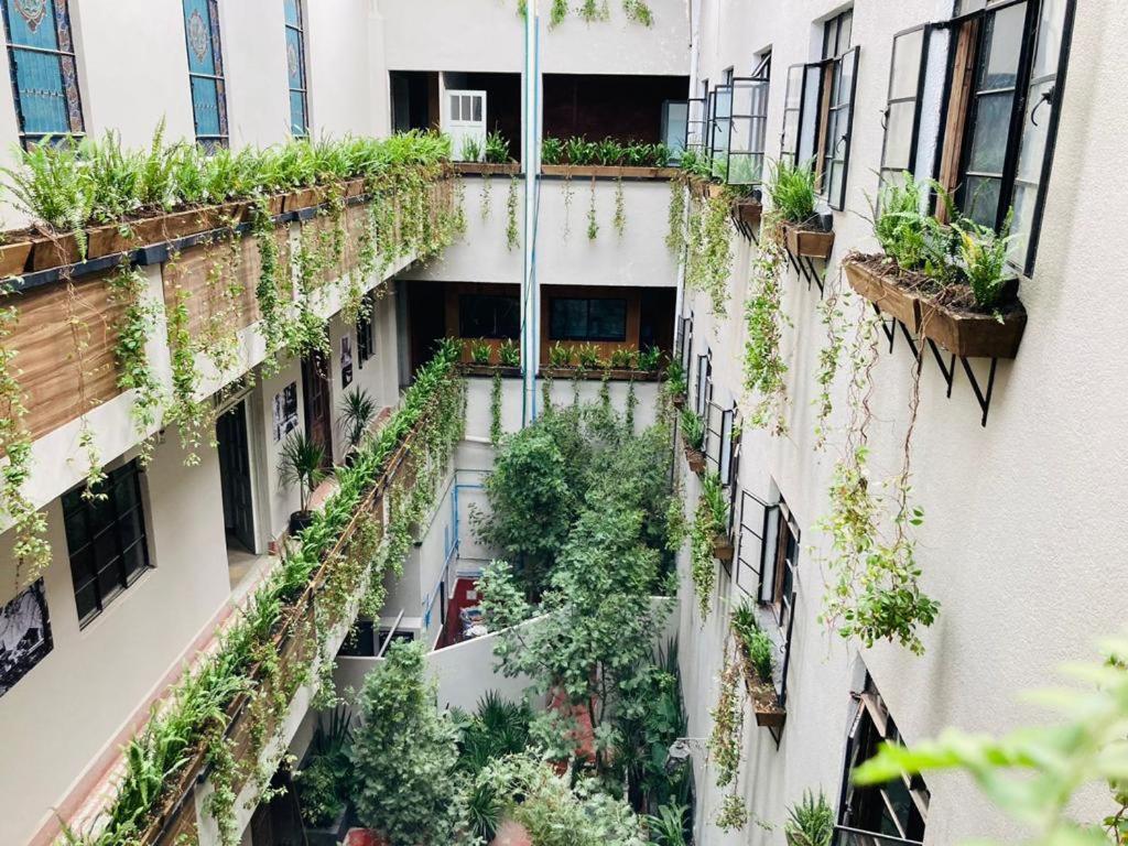 Frontera 49 Roma Norte Hostal 멕시코 시 외부 사진