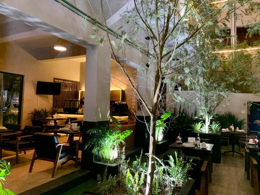 Frontera 49 Roma Norte Hostal 멕시코 시 외부 사진