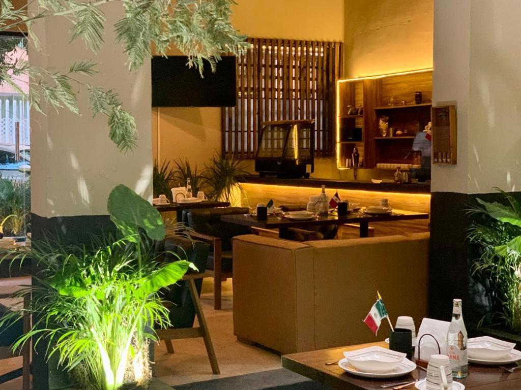 Frontera 49 Roma Norte Hostal 멕시코 시 외부 사진