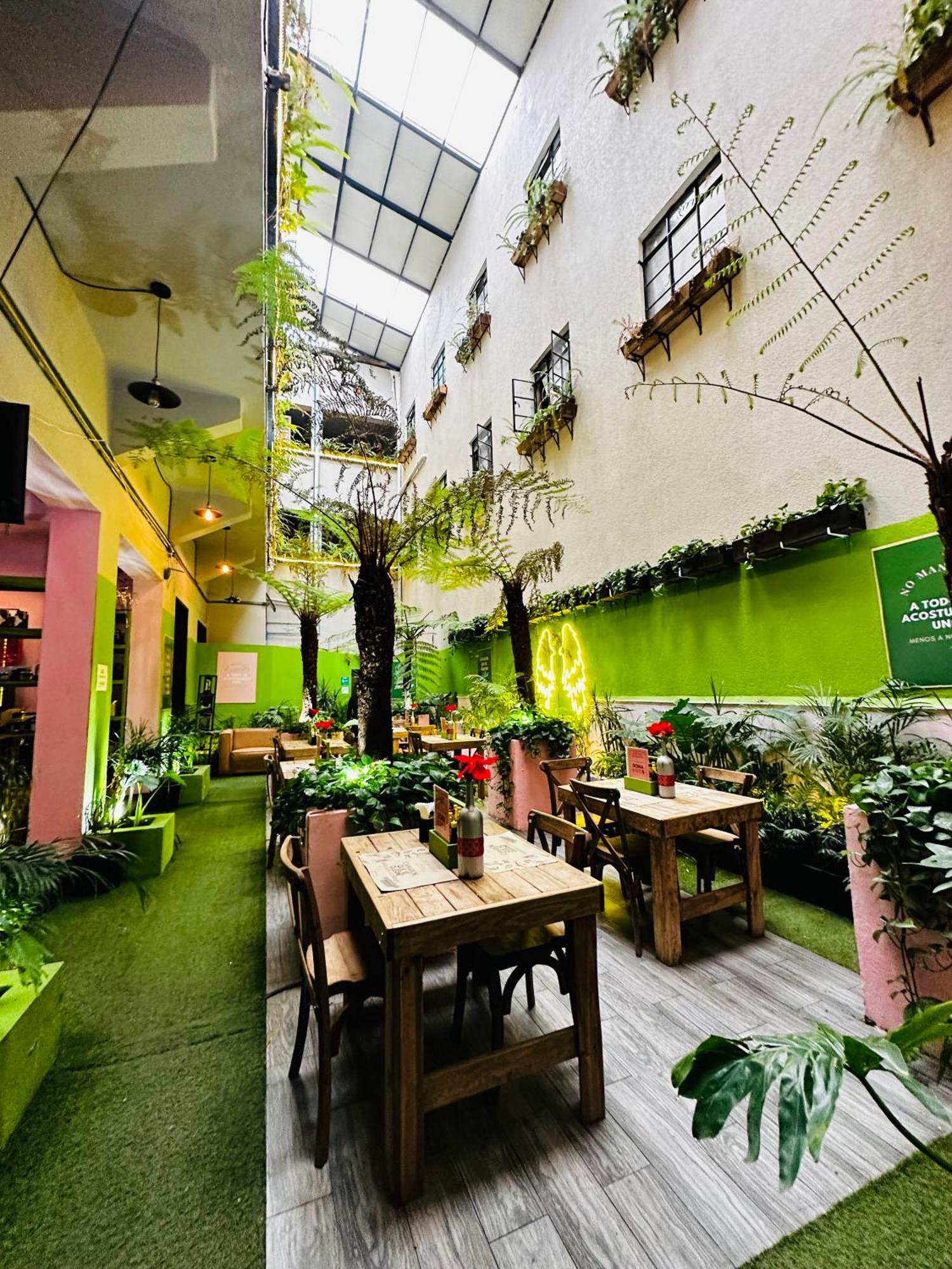 Frontera 49 Roma Norte Hostal 멕시코 시 외부 사진